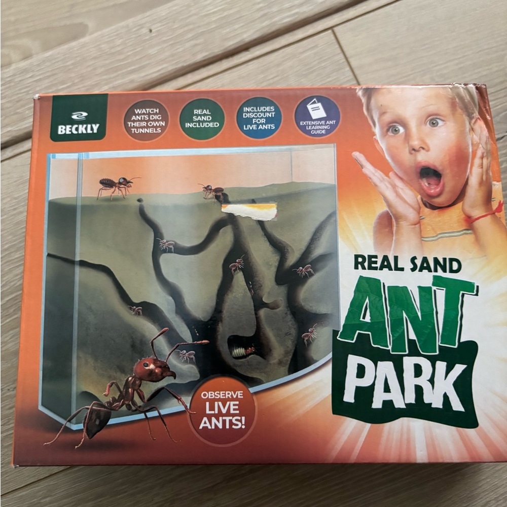 Beckly Ant Park with Real Sand